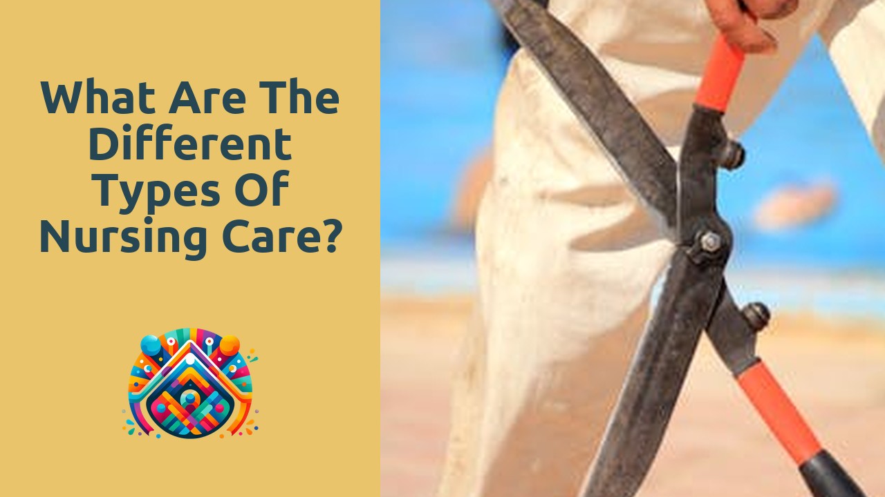What are the different types of nursing care?