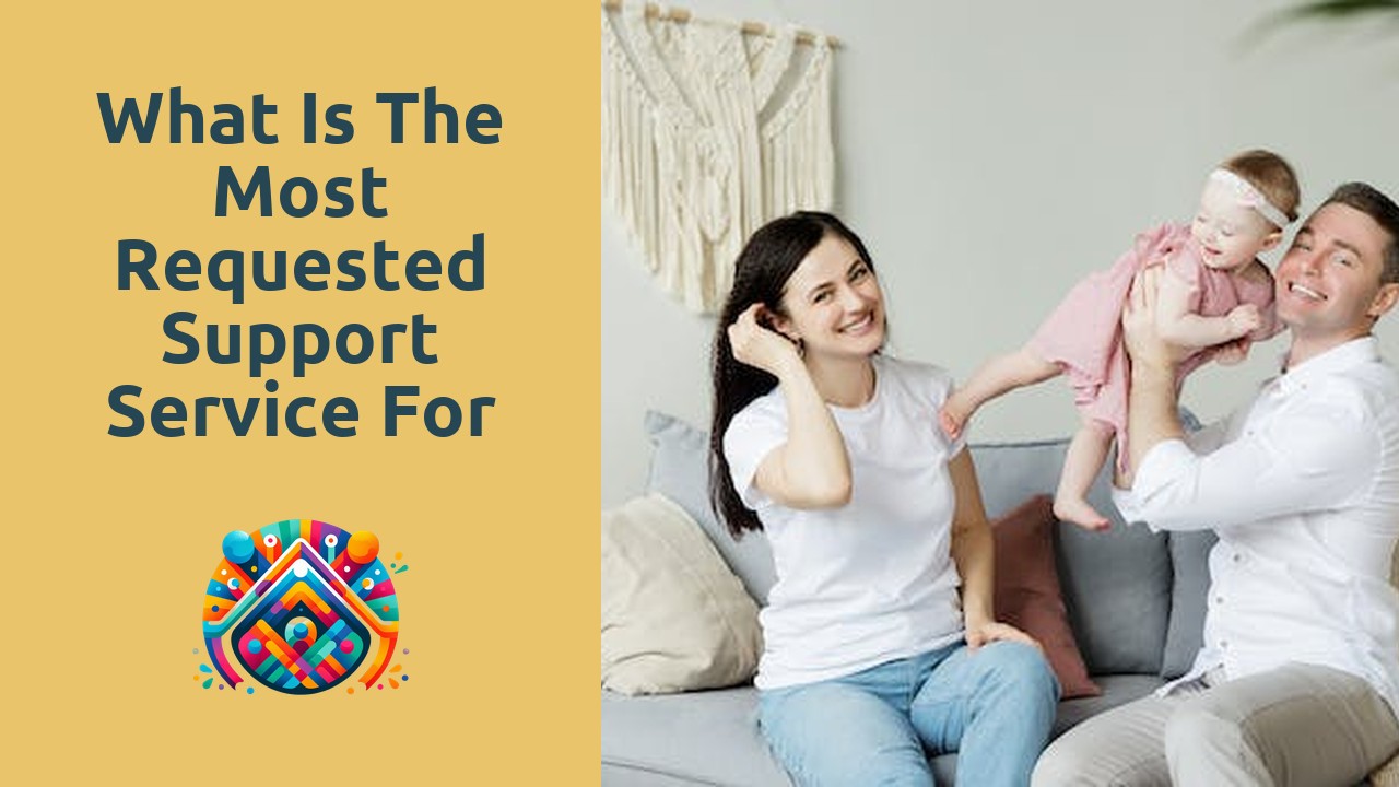 What is the most requested support service for elderly?